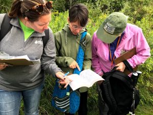 Three people consult a book while using a key to identify plants.