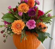 Floral arrangement of red, orange and pink flowers using a small pumpkin as a vase.