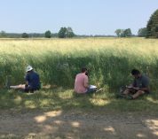 Three educators sit on the ground at the edge of a field during a past K-12 Partnership workshop.
