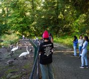 Envision EEB attendees pause on a trail at the W.K. Kellogg Bird Sanctuary to observe Canada Geese and Trumpeter Swans along the water’s edge.