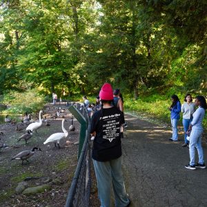 Envision EEB attendees pause on a trail at the W.K. Kellogg Bird Sanctuary to observe Canada Geese and Trumpeter Swans along the water’s edge.