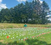 Robin Waterman stands in the middle of a rectangular plot marked with small white flags on a sunny summer day, one of four field plots for her reciprocal transplant field experiment. Credit: Brooke Catlett.