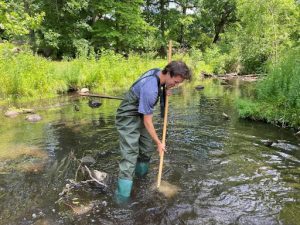 URA student Ben Bridge wears waders and holds a net with a long handle while searching for macroinvertebrates in a restored river as part of his wetland ecology class at KBS.