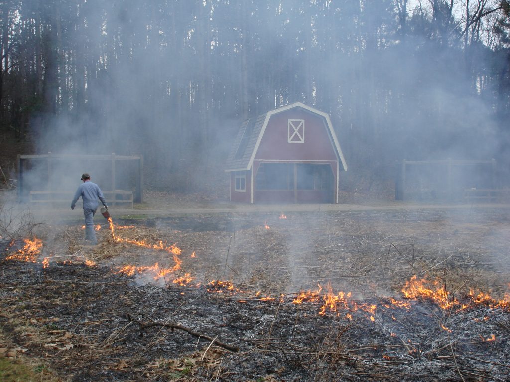 Stu Bassett conducts a prescribed burn in the pocket prairie in the Kellogg Bird Sanctuary's birds of prey area.