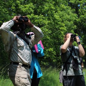 Three people look through binoculars at the W.K. Kellogg Bird Sanctuary during the 2023 KBS BioBlitz.