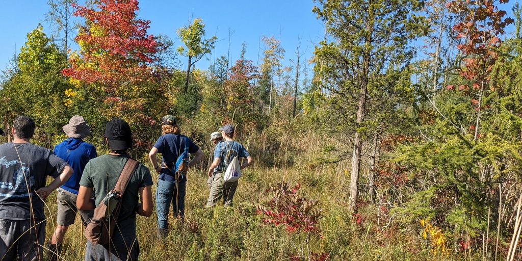 A small group of people walk through tall grass on a sunny autumn day, as part of a Conservation Stewards Program field trip.
