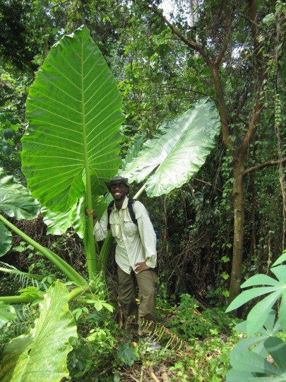 Kadeem Gilbert poses next to a large plant with leaves nearly twice his height.