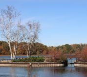 Autumn view of the W.K. Kellogg Bird Sanctuary foot bridge over Wintergreen Lake.