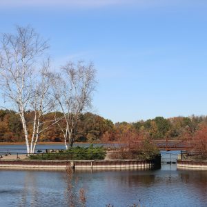 Autumn view of the W.K. Kellogg Bird Sanctuary foot bridge over Wintergreen Lake.