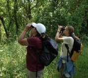 Two people peer through binoculars at the W.K. Kellogg Bird Sanctuary.