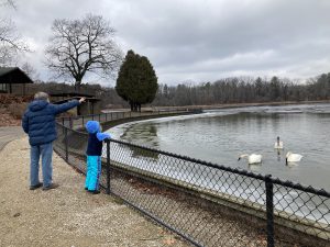 Doug Robbins and his granddaughter, Eli, feed swans at the W.K. Kellogg Bird Sanctuary. Photo provided by Doug and Wendy Robbins.