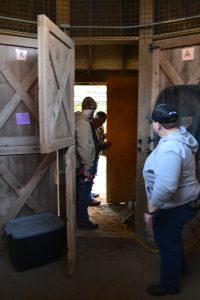 Bird Sanctuary staff and volunteers work on the game bird and pheasant shelter.