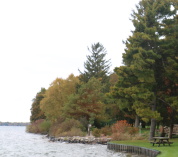A view of the KBS breakwall and shoreline in autumn.