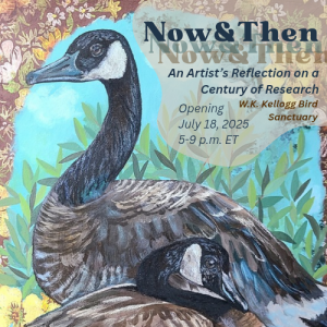 Flyer for Erica Bradshaw's art exhibit and reception, featuring a drawing of two Canada Geese and the words "Now & Then: An Artist's Reflection of a Century of Research, W.K. Kellogg Bird Sanctuary, Opening July 18, 2025, 5 to 9 p.m.