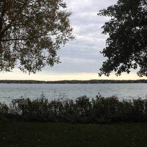 A view from behind the vegetation in a naturalized portion of the KBS shoreline, with Gull Lake in the distance.
