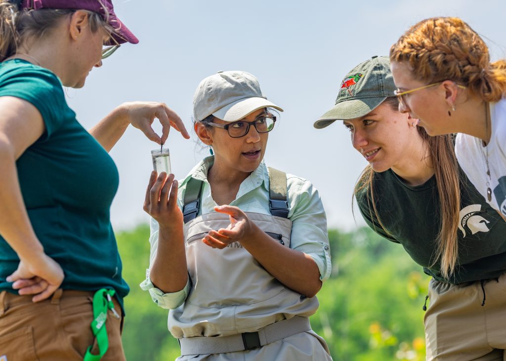 Postdoctoral Research Associate Rosemary Martin and Dr. Alisha Shah dip a female dragonfly for egg retrieval alongside Ph.D. Student Stephanie Bristow and URA Phoebe Bosch at the KBS pond laboratory.