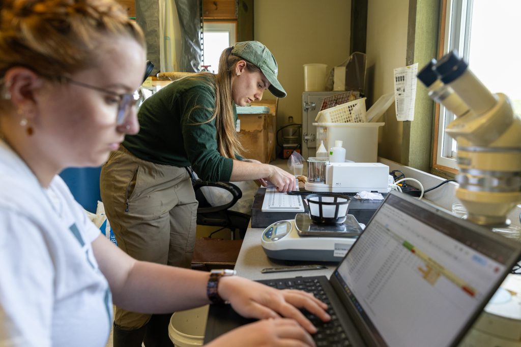 Stephanie Bristow, Shah Lab Ph.D. student, measures and weighs fish species in the back room of the KBS pond laboratory alongside Phoebe Bosch, Shah Lab URA student.