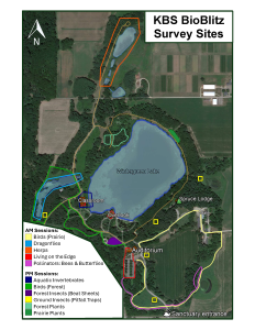 Map of the 2025 BioBlitz survey sites at the W.K. Kellogg Bird Sanctuary.