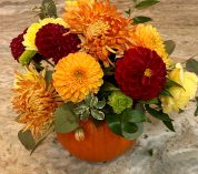 Floral arrangement with autumn colors staged in a hollowed-out pie pumpkin.