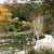 Autumn view of the foot bridge at the W.K. Kellogg Bird Sanctuary, with several swans in the water nearby.