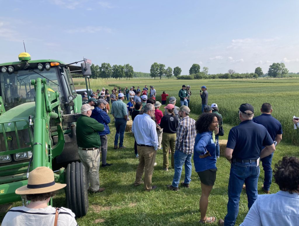 Scene from the KBS LTAR Food Grade Grains Field Day, showing groups of people talking while standing between a tractor and an experimental planting of row crops.