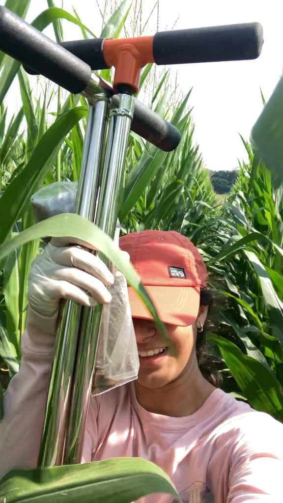Cherith Pickett stands in a corn field holding a soil sampling tool.