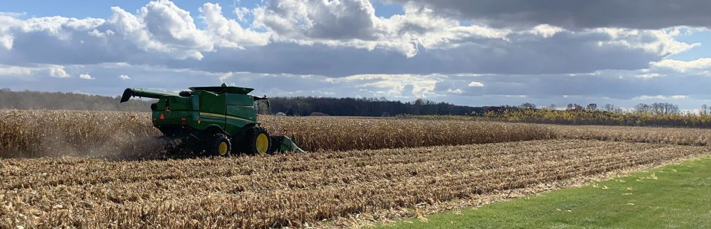 Corn is harvested in a field at the W.K. Kellogg Biological Station.