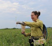 Lauren Sullivan sprinkles seeds in a grassland area.