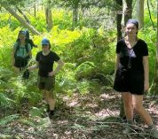 Several GALS participants stand among ferns on the forest floor, while hiking through the Manistee National Forest.