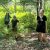 Several GALS participants stand among ferns on the forest floor, while hiking through the Manistee National Forest.