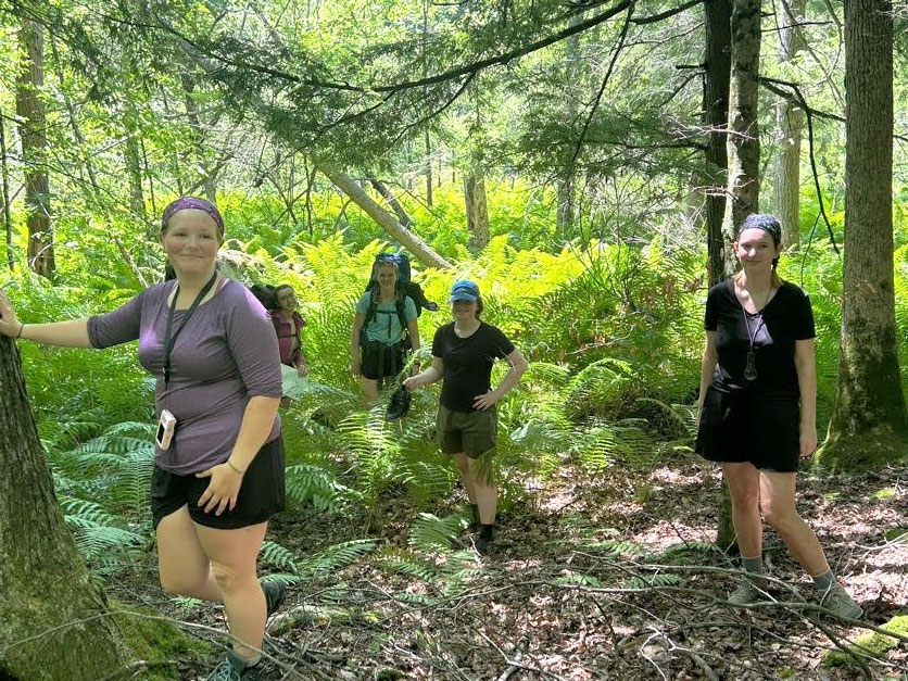 Several GALS participants stand among ferns on the forest floor, while hiking through the Manistee National Forest.