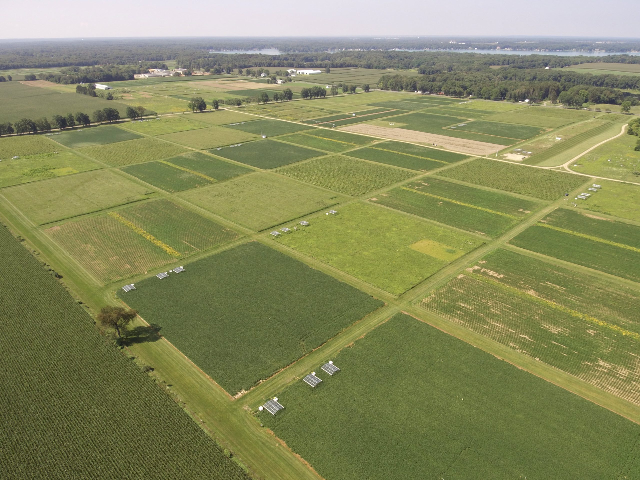 Aerial view of the Long-term Ecological Research site at the W.K. Kellogg Biological Station.