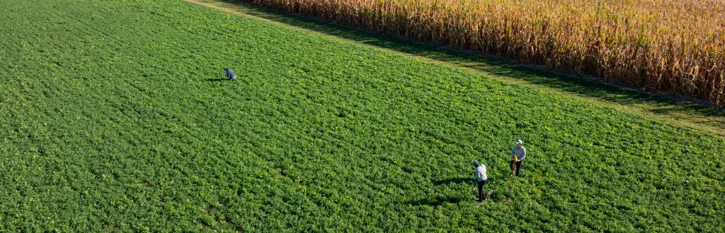 Aerial view of three people in an agricultural field near an adjacent field of corn.
