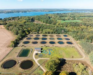 Aerial view of the Pond Lab, which includes a grid of 18 experimental ponds, at the W.K. Kellogg Biological Station.