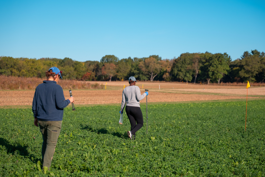 KBS researchers Lisa Hargest and Christine Sprunger walk through an agricultural field while conducting soil sampling.