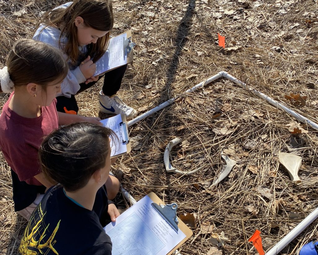 Fourth-grade students examine bones on the forest floor through a partnership with KBS staff and graduate students.