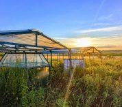 Open top chambers sit beneath rainout shelters in a field at Kellogg Biological Station LTER.