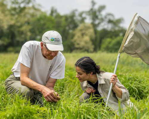 Nick Haddad crouches in a field, showing something to a student holding an insect net.