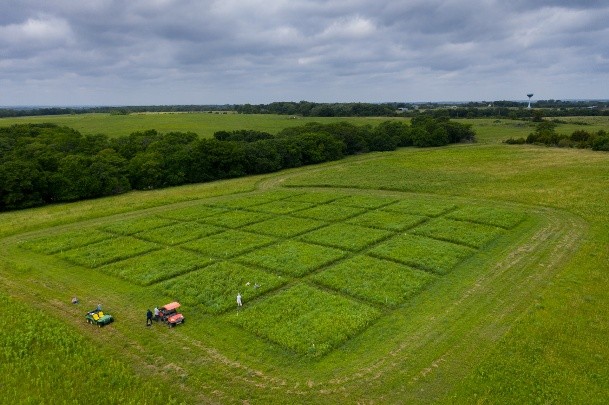 Aerial photo of research plots in a field.