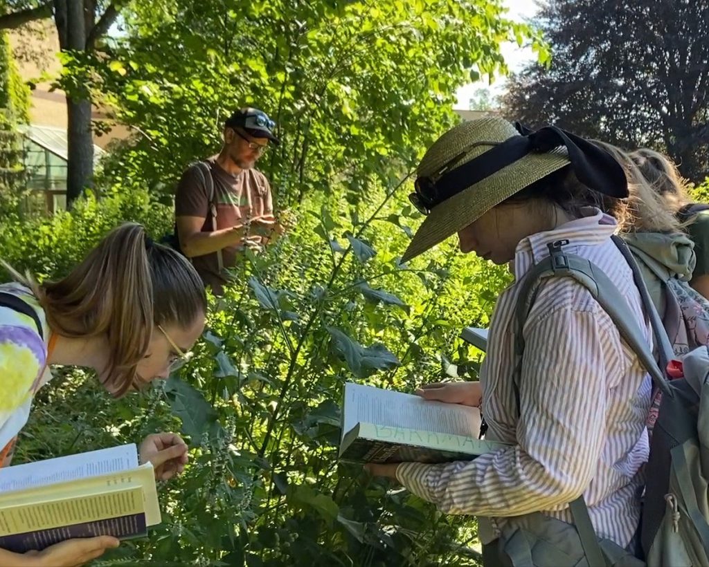 Students in the summer undergraduate plant biology class at the W.K. Kellogg Biological Station inspect plants while holding field guides, with instructor Todd Barkman in the background.
