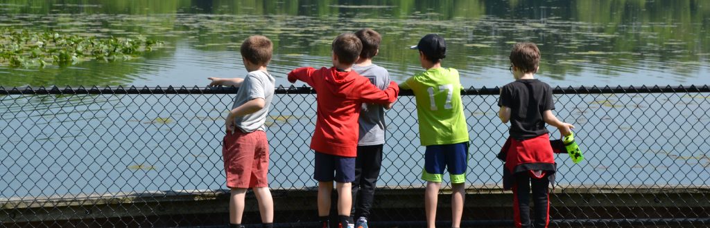 Elementary schoolchildren stand at the fence bordering Wintergreen Lake at the W.K. Kellogg Bird Sanctuary, gesturing out into the lake.